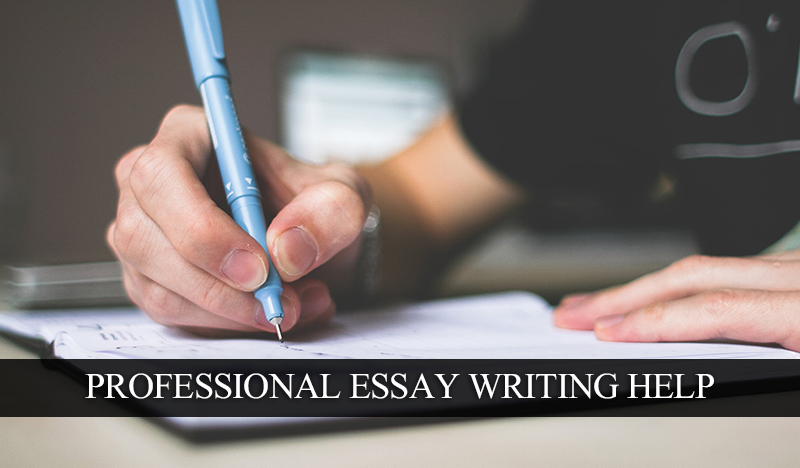 Professional Essay Writing