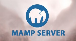 MAMP Server